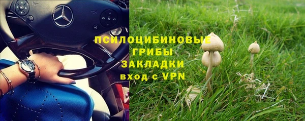 мдма Инта
