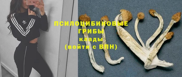 кокс Алексеевка