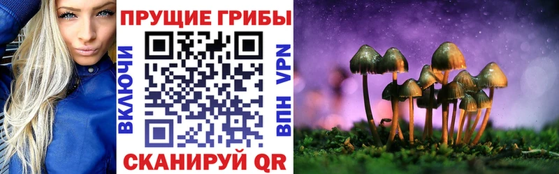 Псилоцибиновые грибы ЛСД  дарк нет официальный сайт  Ленинск-Кузнецкий 